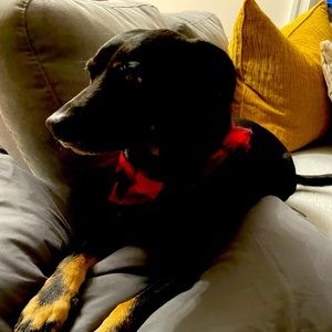 Meet your Posher, Marisa